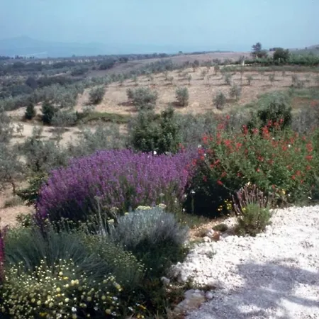 Casa Di Orietta Holiday home Civitella Del Lago