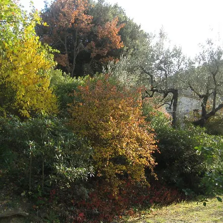 Casa Di Orietta Civitella Del Lago